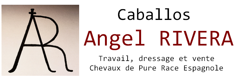 Angel Rivera